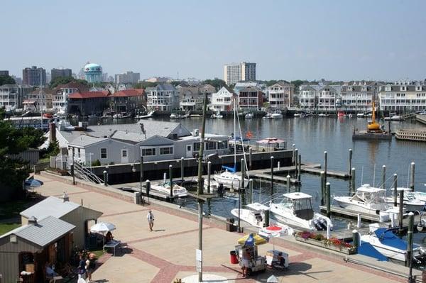 View from 3rd Floor Observation Deck.