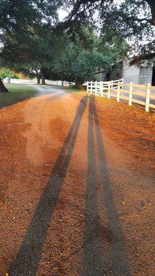 Salado Creek Riding Club - and boarding