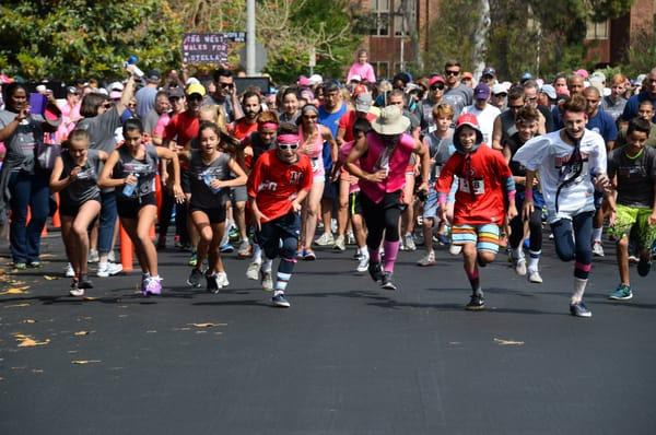 Annual "Walk with Love" breast cancer research fundraising walk.