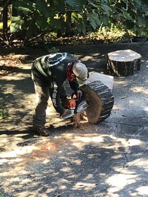 Stone Mountain Tree Service