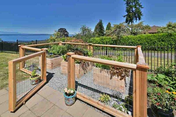 Kitchen garden in Richmond Beach