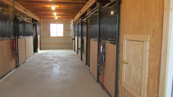 6 Stall barn, matted stall with paddocks