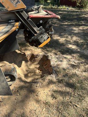 Process of stump grinding