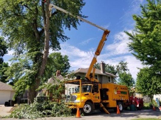 Garcias Tree Service