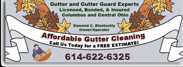 Affordable Gutter Cleaning and Drains