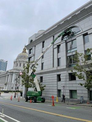 SF Bay Window Cleaning provides a better view