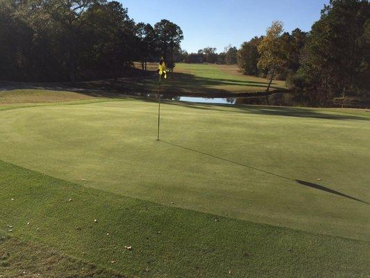 Abraham Baldwin Agricultural College - Forest Lakes Golf Course - hole 9.