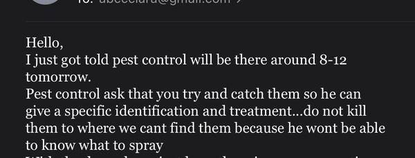 Yes they want you to catch the bugs and save them to have the bug ppl come out and spray