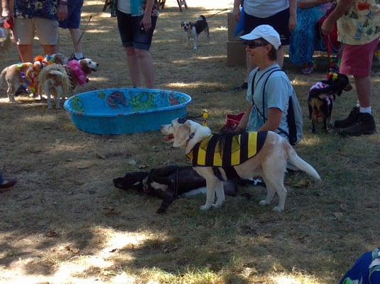 Costume Contest. Bee-have!