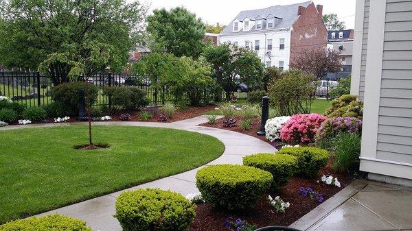 Our award-winning backyard garden