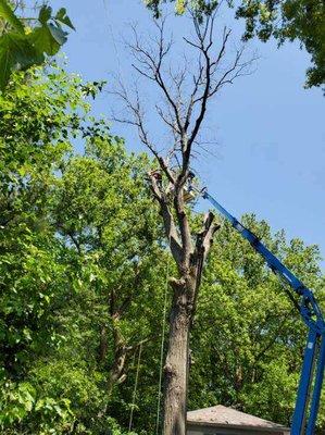 Setting rigging for safe removal