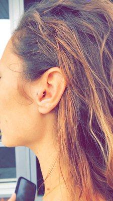 Picture is showing the angle of a correctly done Tragus  piercing