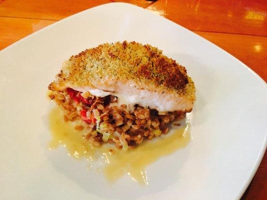 Garlic Parm Crusted Salmon