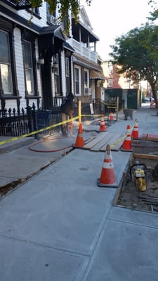 At Francis Albert Construction we also repair sidewalks!