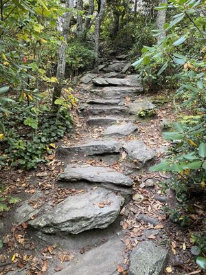 Hiking trail.