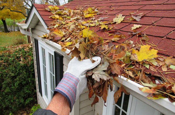 Gutter Cleaning Services