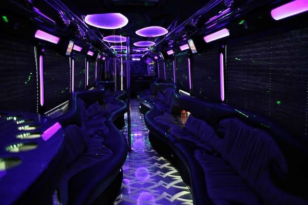 Holland Limousine & Party Bus