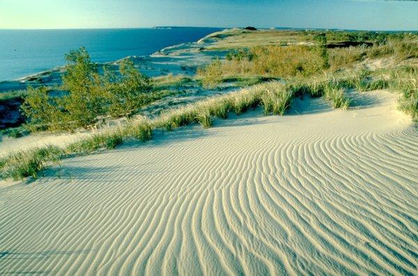 Charter School of the Dunes