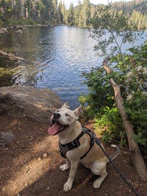 We enjoyed the trail and beaches at near by Lake Siskiyou every few days