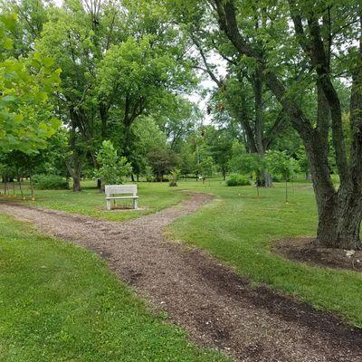 a planned forest in Franklin