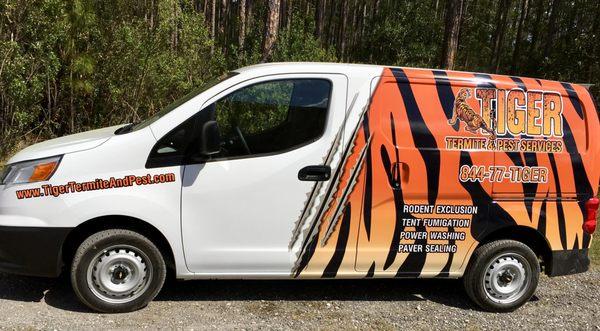 Tiger Termite and Pest Services