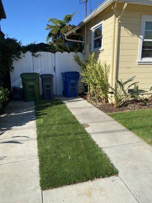 Astroturf in place of real grass on my "Hollywood" driveway.