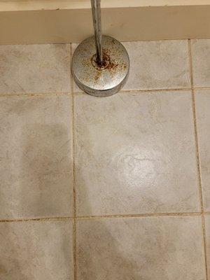 Yellow urine in for grout,  rusted bathroom accessories