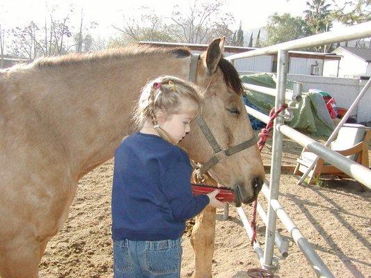 General horsemanship or polo lessons for children and adults