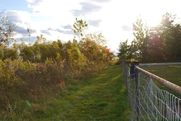 trail that wraps the water front