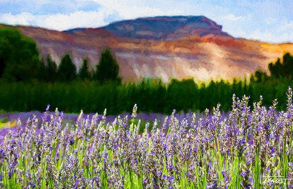 Beautiful Bookcliffs in Mesa County