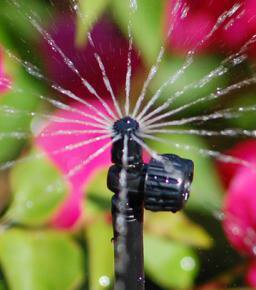 Mini sprinklers