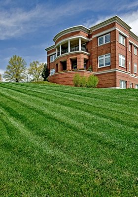 Steve's Landscaping and Lawn Care has been providing quality lawn service and landscaping on Staten Island for over 20 years.