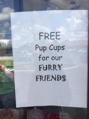 ...for all furry friends