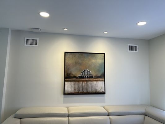 Helping amplify our artwork with special art /museum lights throughout the house.