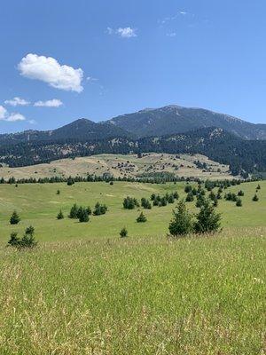 Bozeman, Montana.