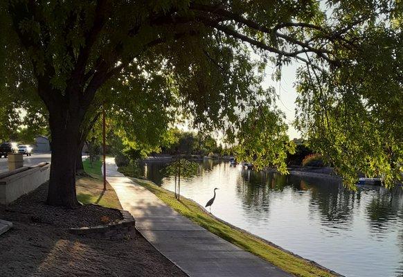 One of many scenic lakeside pathways in DR.