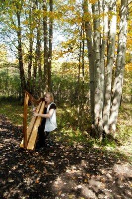 Tiffany Schaefer, Celtic Harpist