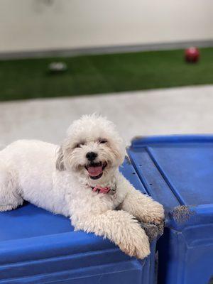 So happy at daycare!