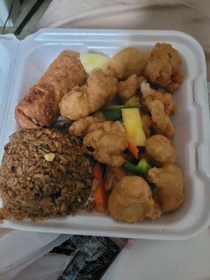 Sweet n sour chicken lunch portion