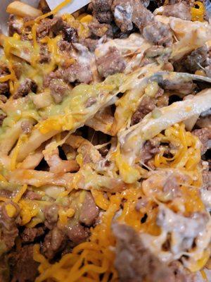 Carne Asada fries