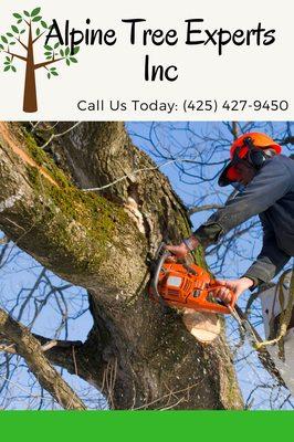 Alpine Tree Experts