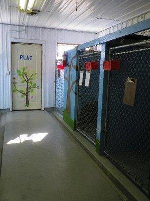 Kennel Area