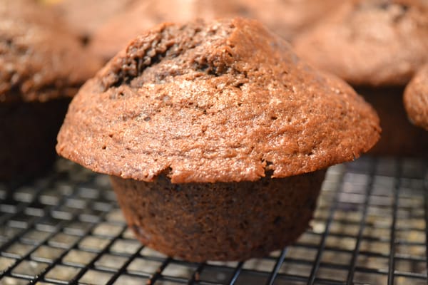 Double Chocolate Chip Muffin