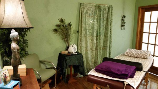 Try our popular Detox Massage or Ion Foot Detox in our Peacock room!