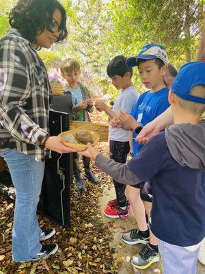 Finding treasures in nature on a field trip.