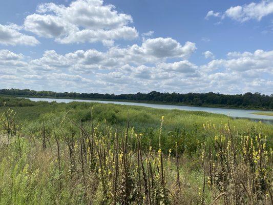 This is just such a gigantic pond. I'm very disappointed. I drove all the way here to go paddle boarding.