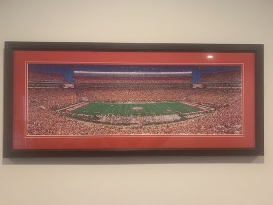 Bryant Stadium puzzle