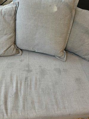 48 hours after couch was cleaned and allowed to fully dry