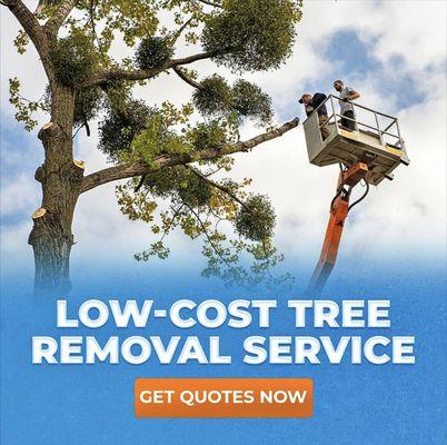 We offer Tree Removal, Trimming, Stump Grinding, Brush Hauling, And Firewood Sale, Emergency Services Available