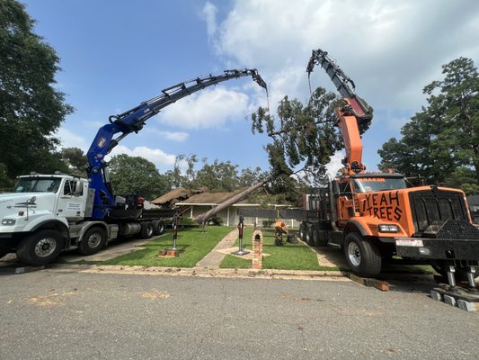 Sweet’s Tree Service